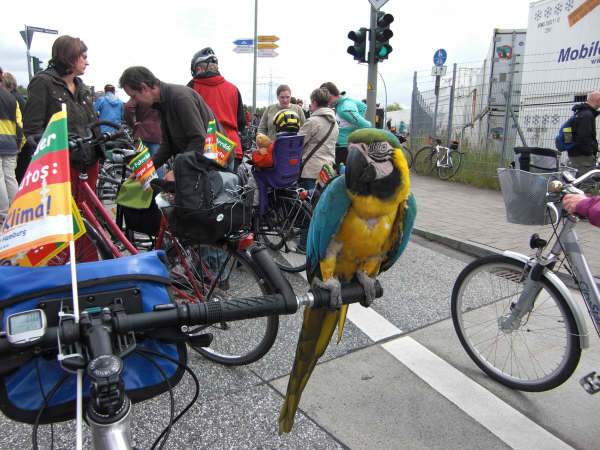 Fahrradsternfahrt Hamburg Tierfreund23 834